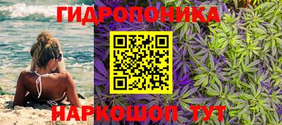 гидра Пыть-Ях