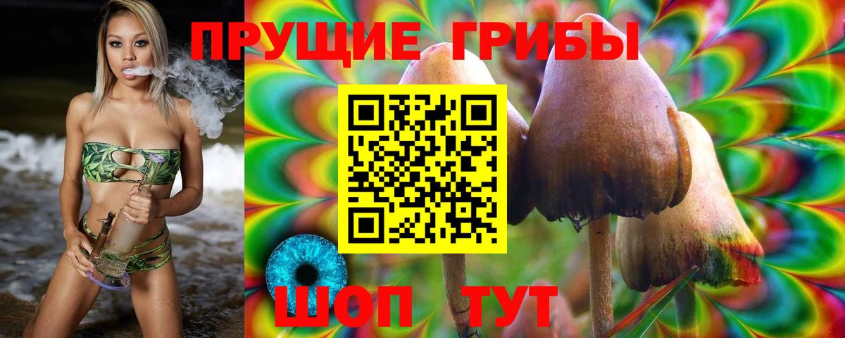 Отрадный  Псилоцибиновые грибы мицелий  Вход с VPN  Псилоцибиновые грибы прущие грибы 