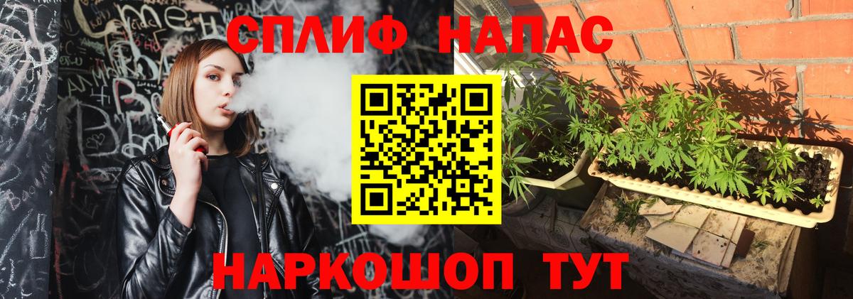Шишки марихуана OG Kush Отрадный